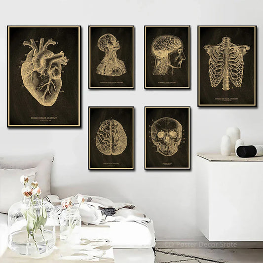 Heart/Skull/Brain Kraft Paper Poster – Chalkboard Anatomical Skeleton Vintage Medical Art